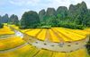 Bai Dinh - Trang An