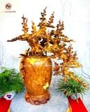  Bình hoa mai bonsai gỗ nu hương kích thước cao 96cm ngang 68cm sâu 48cm 