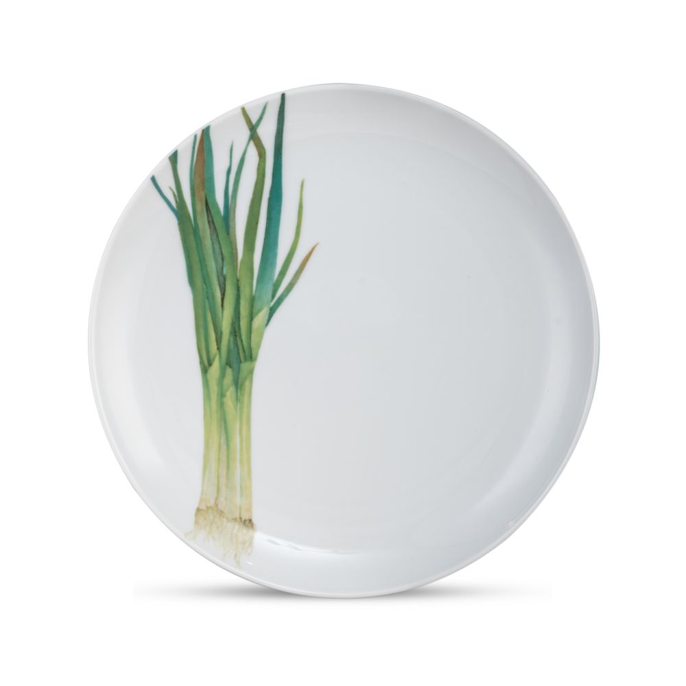  Đĩa tròn cỡ vừa loại coupe (họa tiết hành lá) Noritake Kyoka Shunsai 24,1cm 