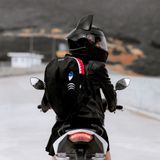  TAI MÈO LỚN NITRINOS 