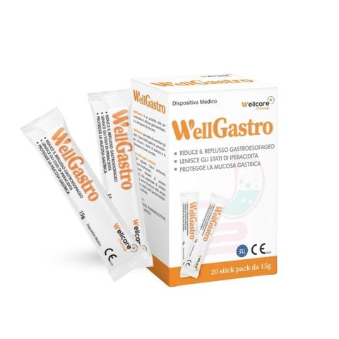 WellGastro - Giải Pháp Hiệu Quả Kiểm Soát Trào Ngược Dạ Dày, Hộp 20 gói