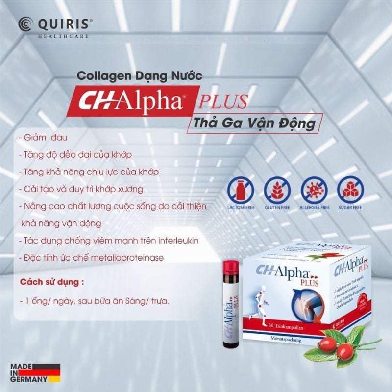 CH Alpha Plus - Hỗ trợ tái tạo sụn khớp, tăng cường sức khoẻ xương khớp (Hộp 30 ống)