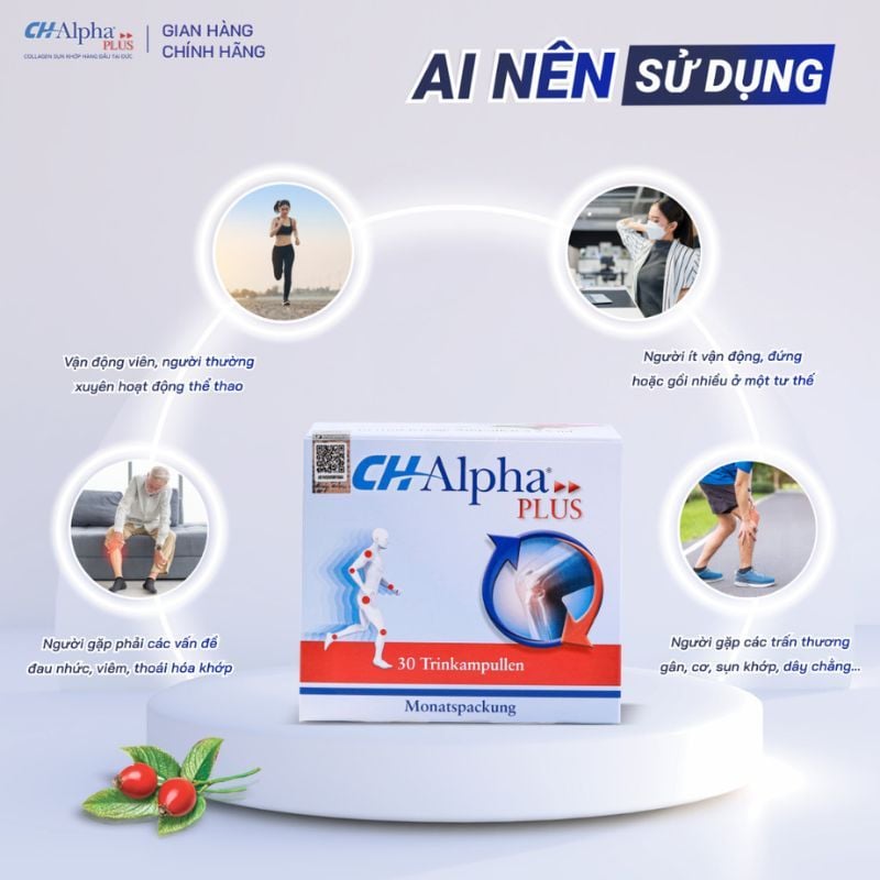 CH Alpha Plus - Hỗ trợ tái tạo sụn khớp, tăng cường sức khoẻ xương khớp (Hộp 30 ống)