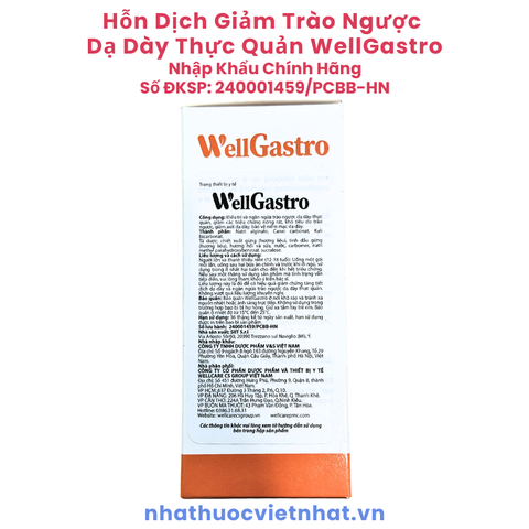 WellGastro - Giải Pháp Hiệu Quả Kiểm Soát Trào Ngược Dạ Dày, Hộp 20 gói