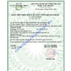 Viên uống bổ não Mason Ginkgo Biloba của Mỹ, giảm đau đầu, cải thiện giấc ngủ, trí não khỏe mạnh, hộp 60 viên