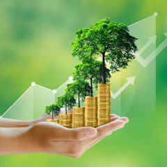 DỊCH VỤ TƯ VẤN MÔI TRƯỜNG