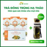  Combo 4 Trà Đông Trùng Hạ Thảo - Tặng Bình Pha Trà - Freeship 