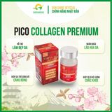 Viên Uống Làm Đẹp Da Pico Collagen Premium Ribeto Nhật Bản 