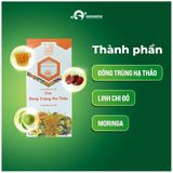  Combo 5 Trà Đông Trùng Hạ Thảo - Tặng Bình Pha Trà, Ly Uống Trà - Freeship 