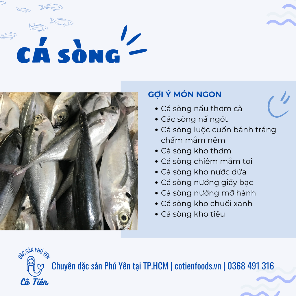 Cá sòng Phú Yên làm sạch