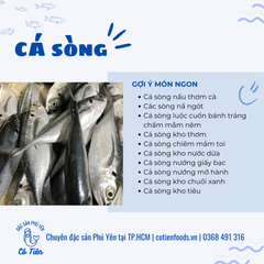 Cá sòng Phú Yên làm sạch