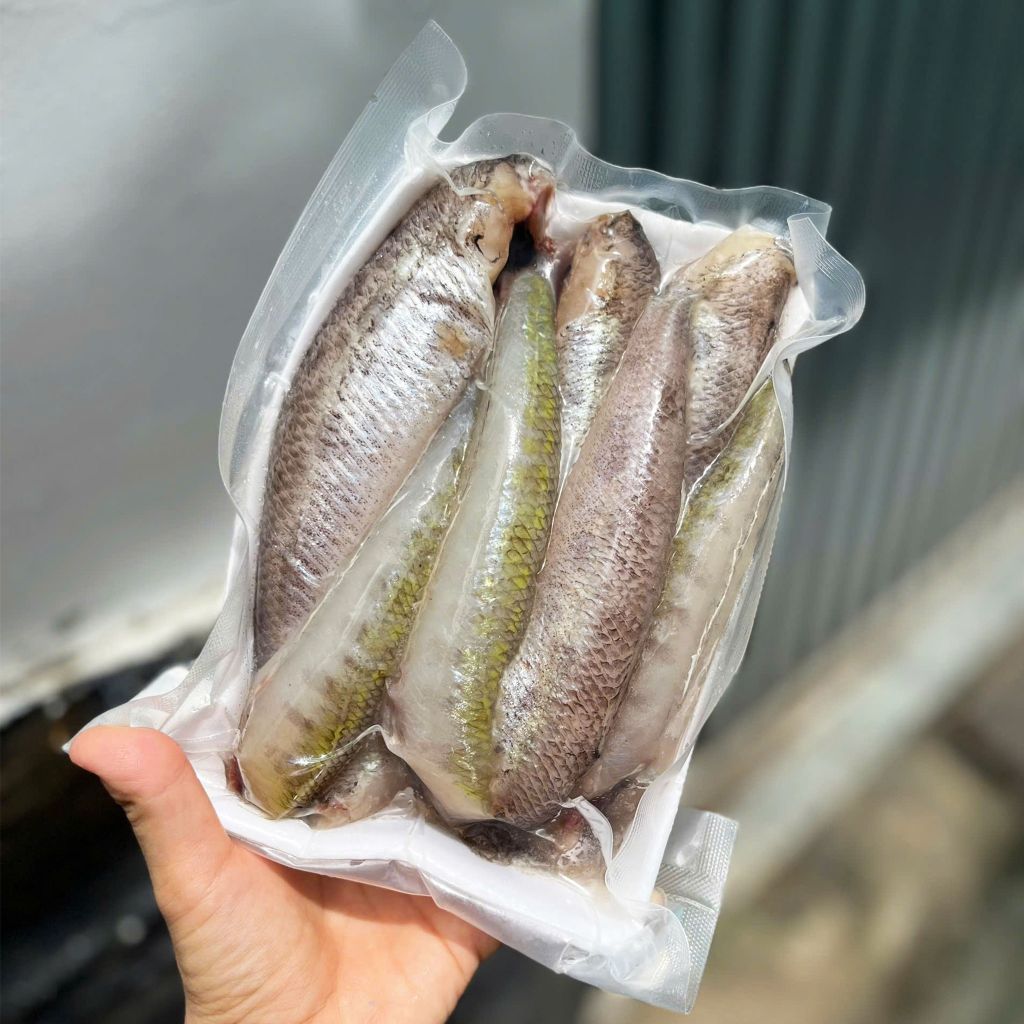 Cá bống biển làm sạch