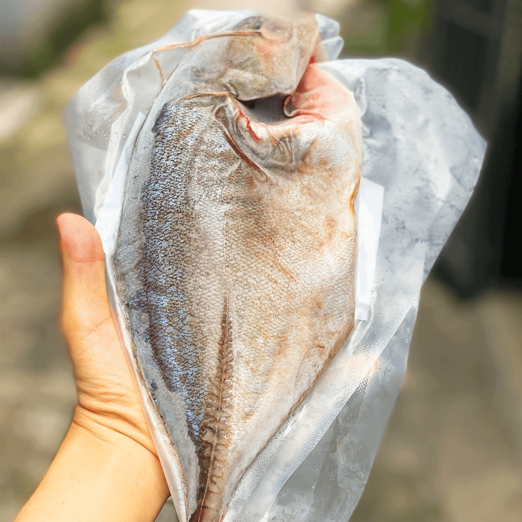 Cá bè cụt nguyên con