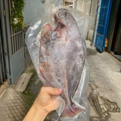 Cá bè Phú Yên cắt khúc