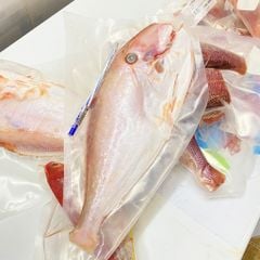Cá bò da Phú Yên