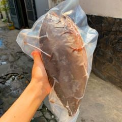 Cá bò da đen Phú Yên nguyên con làm sạch
