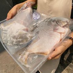 Cá chim trắng làm sạch hút chân không