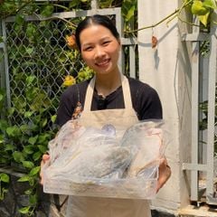 Cá chim trắng làm sạch hút chân không
