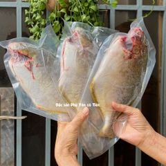 Cá chim trắng làm sạch hút chân không
