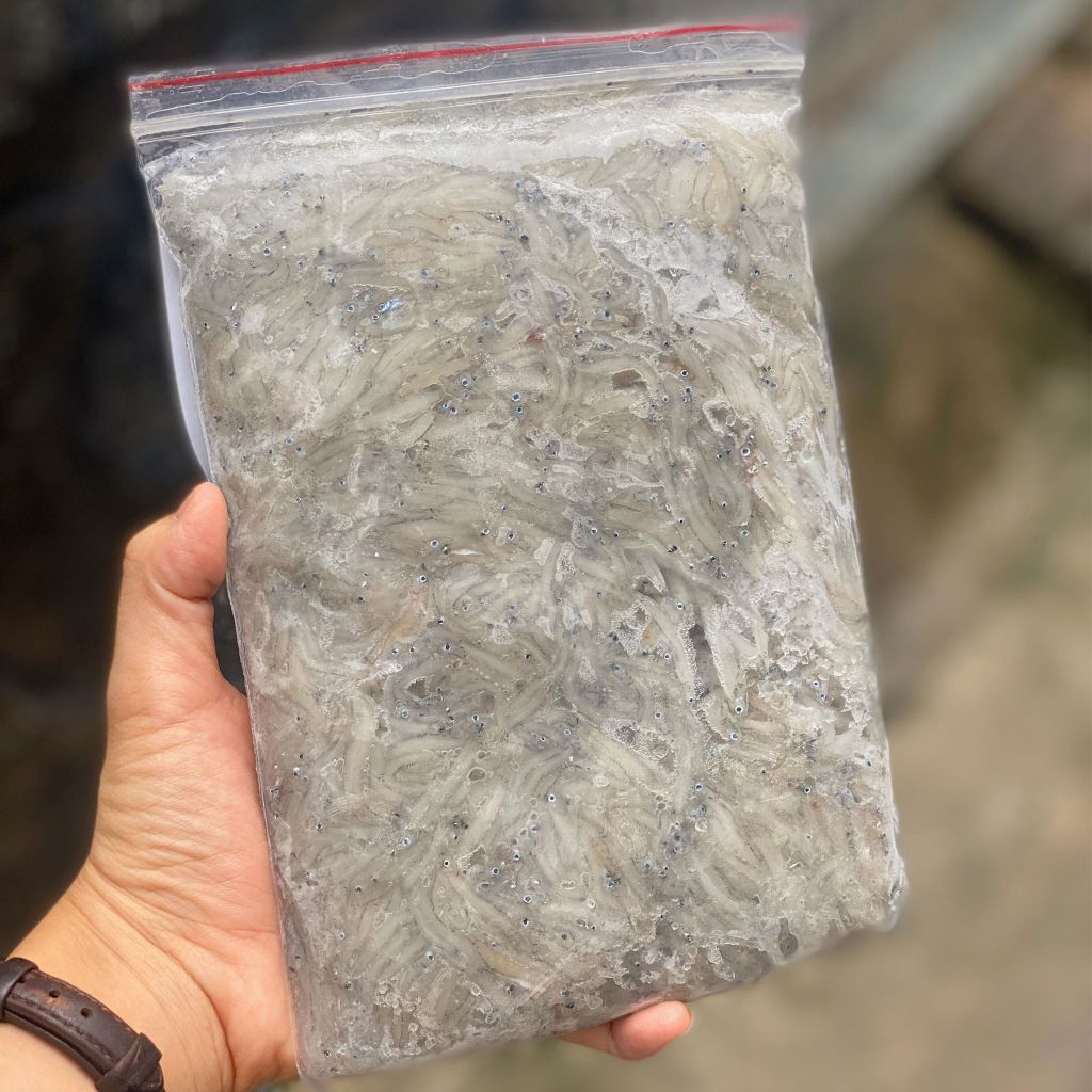 Cá cơm ngần Phú Yên