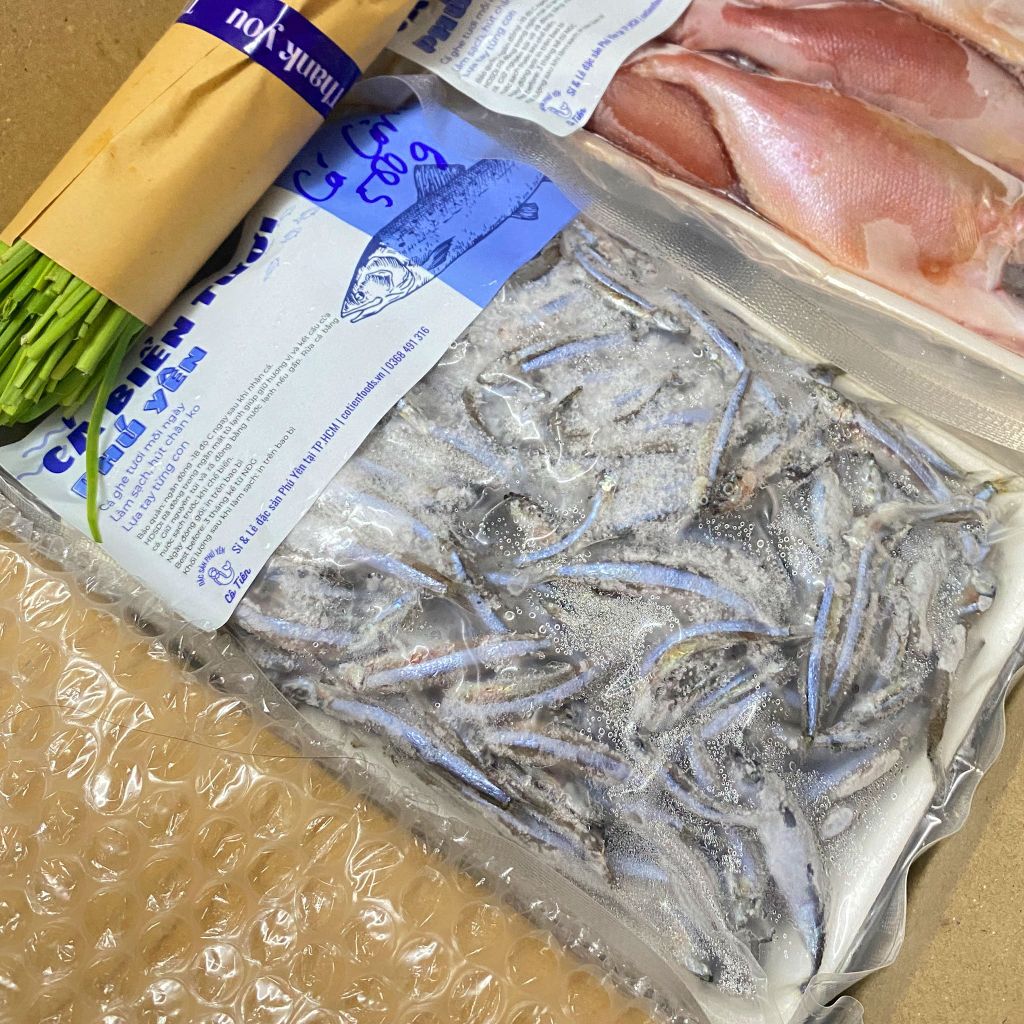 Cá cơm săn Phú Yên