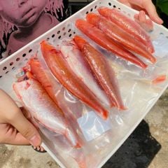 Cá đổng đỏ Phú Yên