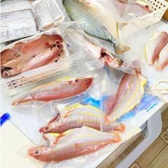 Cá hường, cá đổng Phú Yên làm sạch