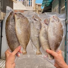Cá dò kình làm sạch