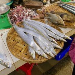 Cá hố cắt khúc