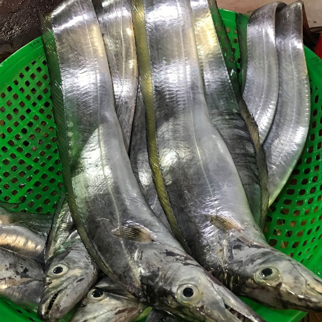 Cá hố cắt khúc