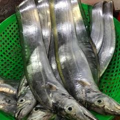 Cá hố cắt khúc