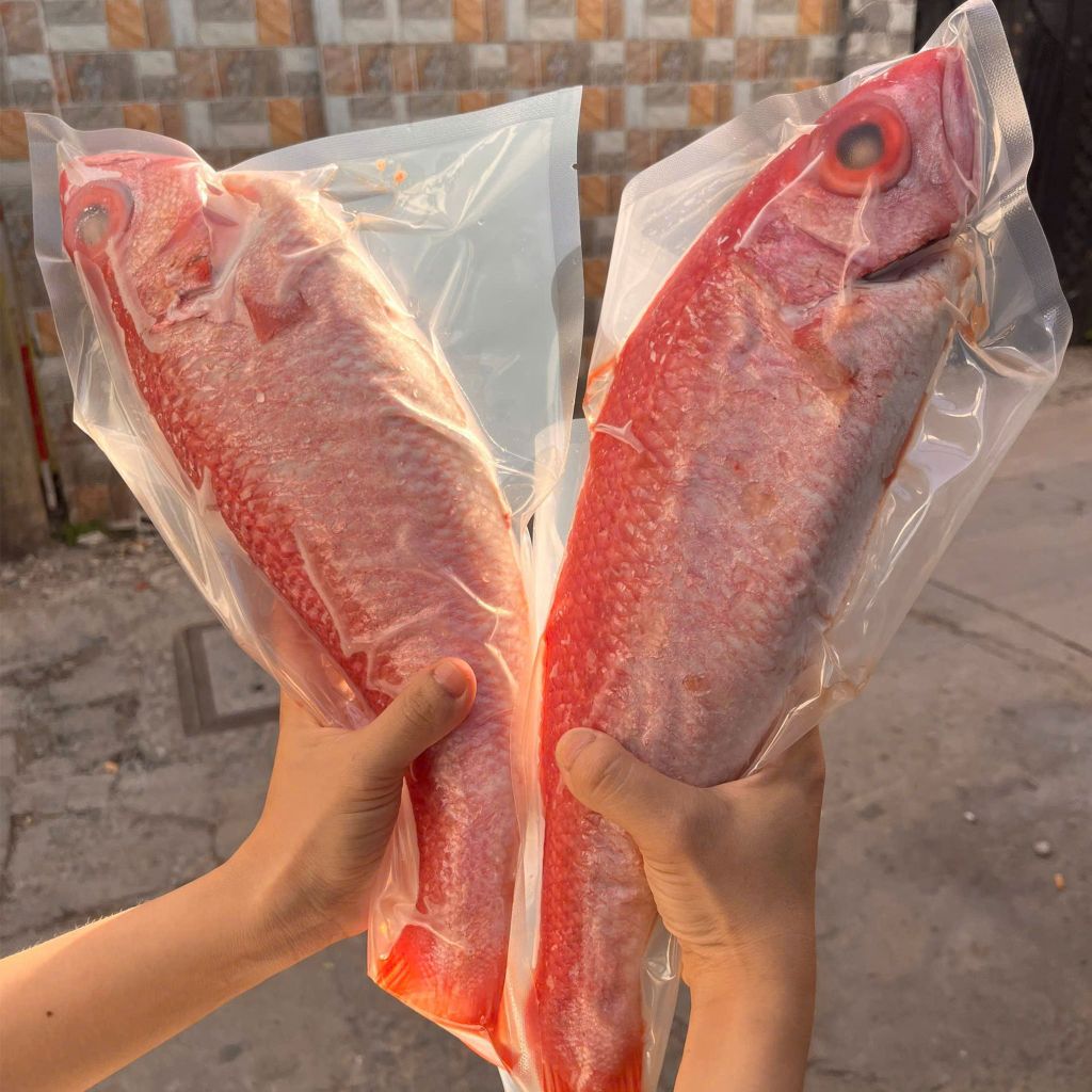 Cá hồng biển cắt khúc