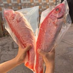 Cá hồng biển cắt khúc