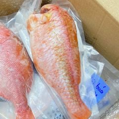 Cá hồng đào Phú Yên làm sạch