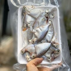 Cá liệt lợ làm sạch