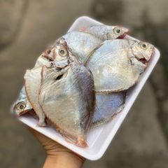 Cá liệt nhớt Phú Yên làm sạch