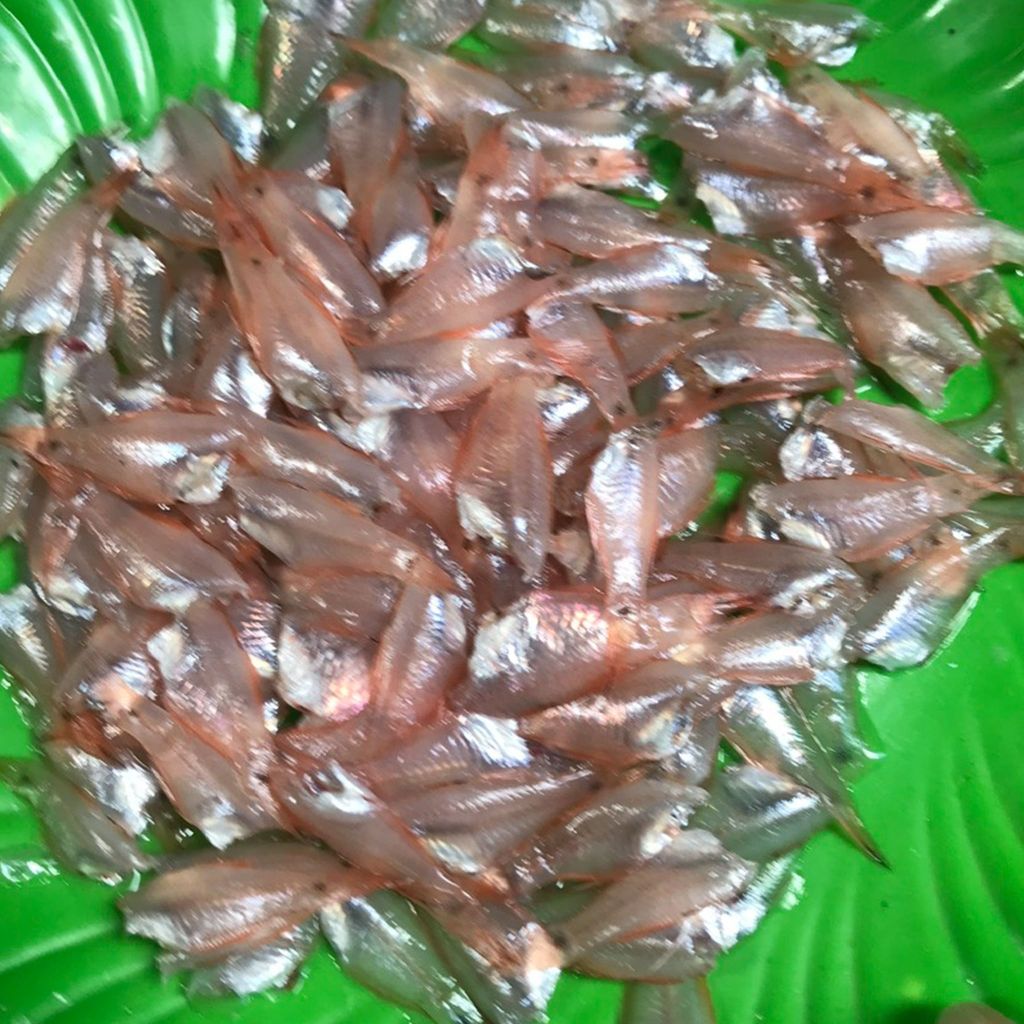 Cá mành làm sạch