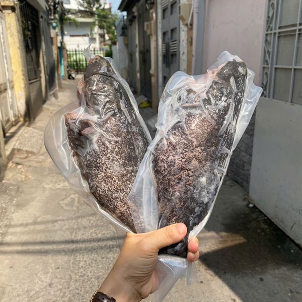 Cá mú biển làm sạch nguyên con