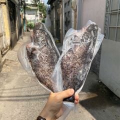 Cá mú biển làm sạch nguyên con