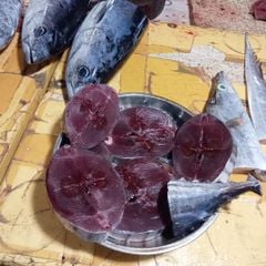 Cá ngừ bò Phú Yên cắt khúc