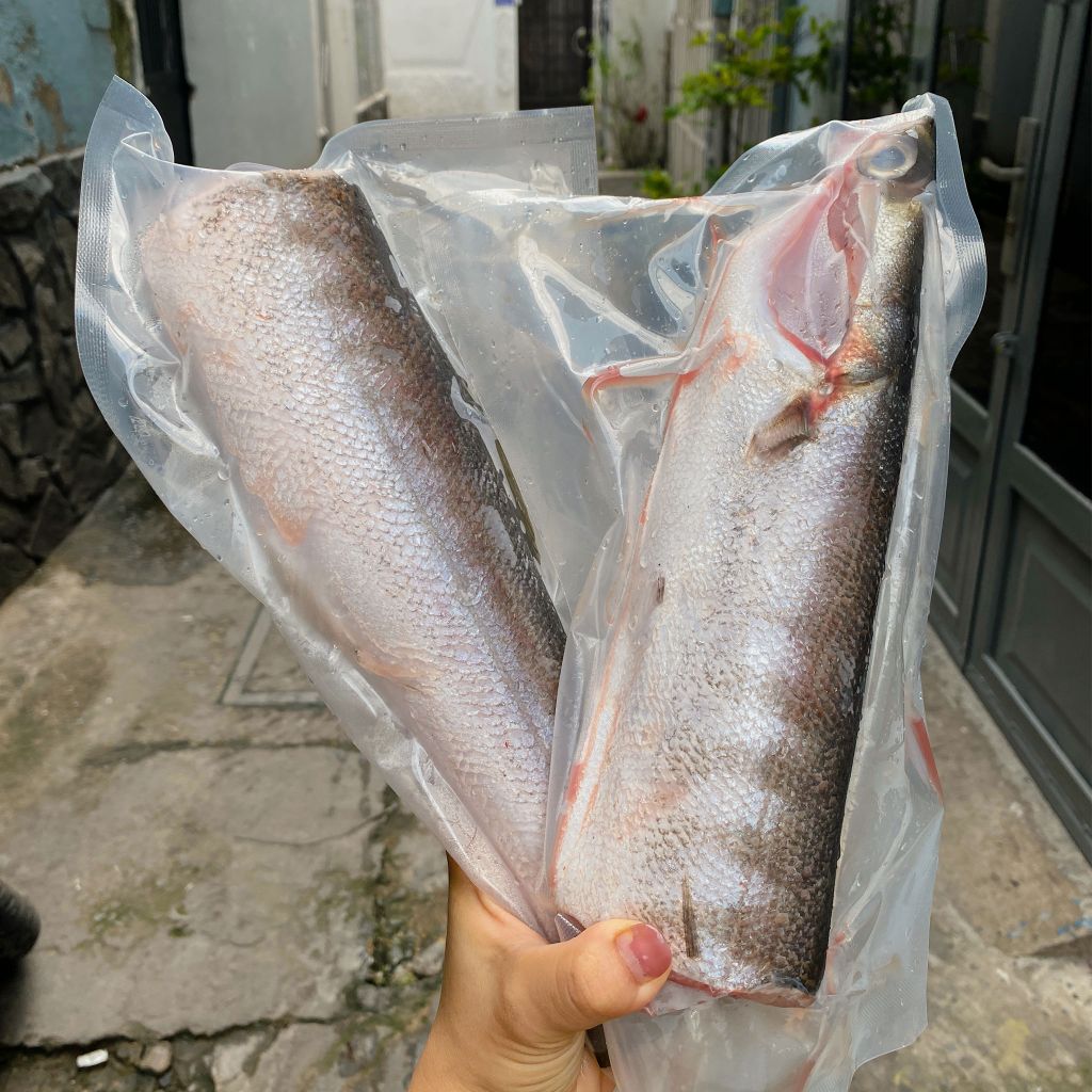 Cá nhồng nguyên con