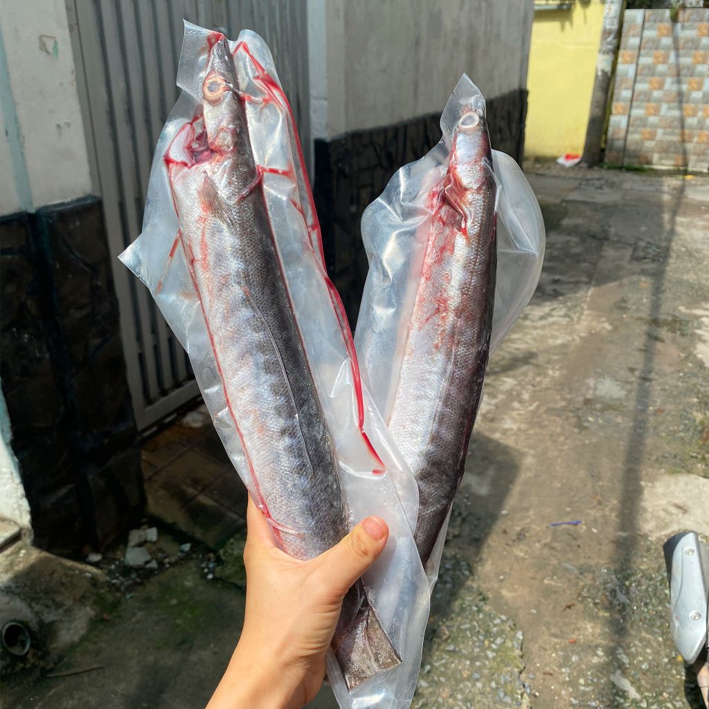 Cá nhồng nguyên con