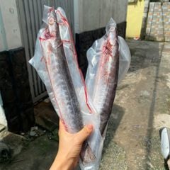 Cá nhồng nguyên con