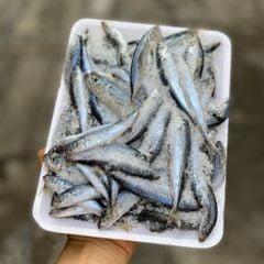 Cá nục điếu, nục nhỏ Phú Yên