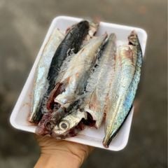 Cá nục suông Phú Yên làm sạch