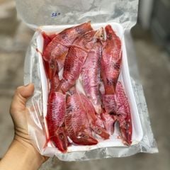 Cá phèn làm sạch