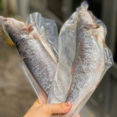 Cá sóc làm sạch
