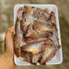 Cá sơn nhỏ Phú Yên