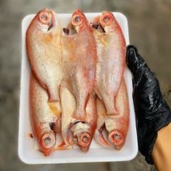 Cá sơn thóc làm sạch | sz nhỏ