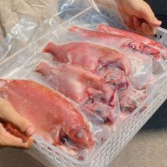 Cá sơn thóc làm sạch | sz 4 5